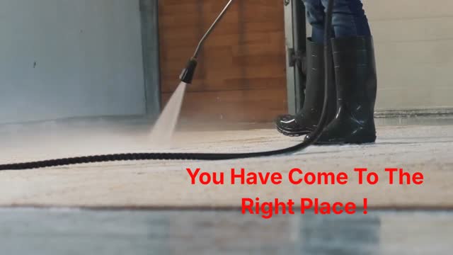 All Ways Organic  : #1 Carpet Cleaning in New Haven, CT