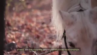 How Equine Therapy Helps in Trauma and Substance Use Healing in Montana