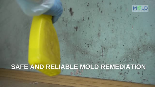 WELCOME TO MOLD TESTING AND REMOVAL