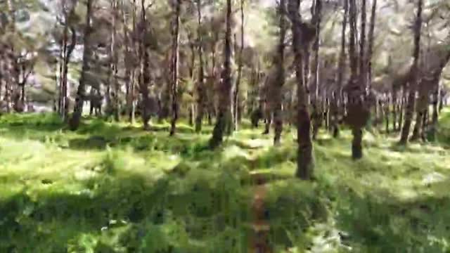 Free_Test_Data_1MB_MP4