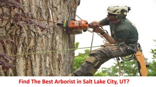 Arbor Plus - Professional Arborist in Salt Lake City, UT