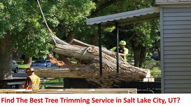 Arbor Plus - Tree Trimming Service in Salt Lake City, UT