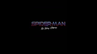 Spider-Man No Way Home