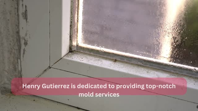 Mold testing service Los Angeles