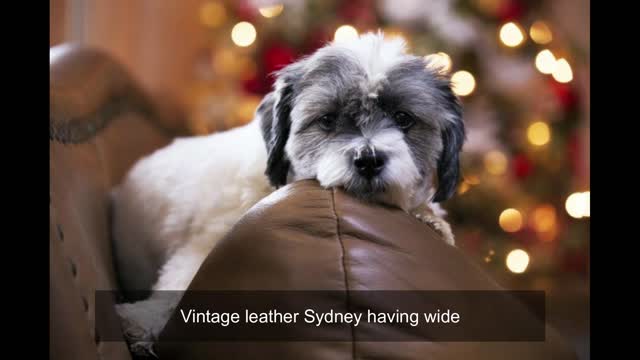 How to get scratches out of leather