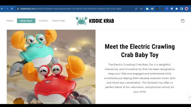 Simplifying Shopify: 5 Stores Winning with One Product