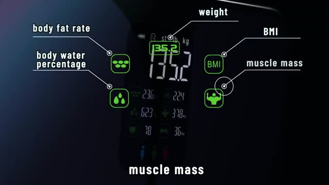 Lescale F4-the best large screen smart scale