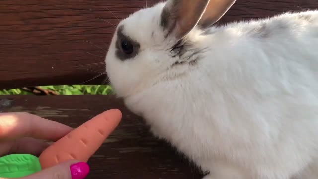 Okto Sensory Arts and Crafts Kits with Air Dry Clay Modelling Kits