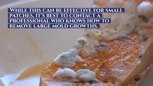 ASAP MOLD TESTING ENCINO