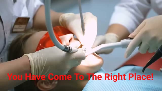 Empire Dental Care - General Dentist in Webster, NY