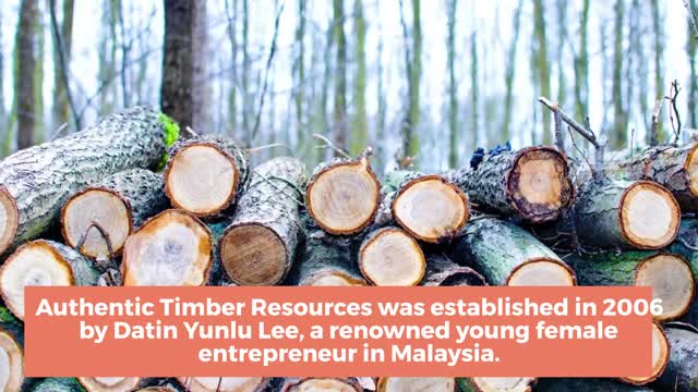 Top, Excellent, High Quality Timber Exporter, Supplier in Malaysia