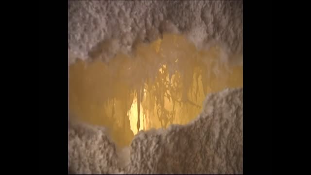 Mysterious Boulder with Mist By  H.H. Dorje Chang Buddha III