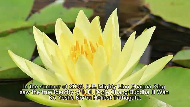 H.E. Mighty Lion Dharma King Renzeng Nima wrote a recognition certificate to H.H. Dorje Chang Buddha III