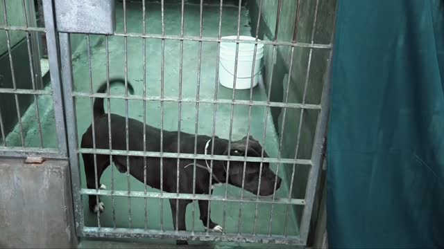 2024年 世界佛教總部和聖蹟寺 舉辦新春「共襄善舉，溫暖人心」捐物活動