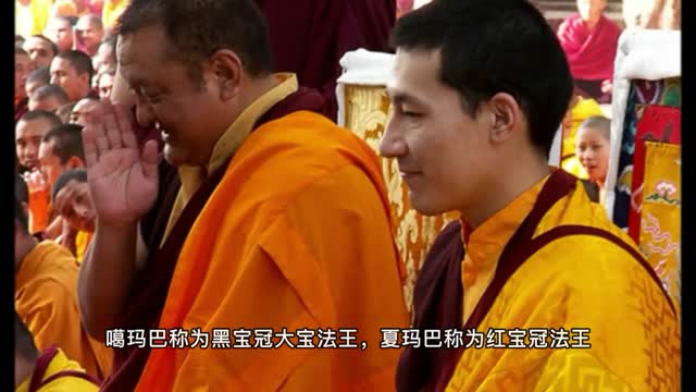 十四世夏玛巴赞叹南无第三世多杰羌佛的所有成就都是利益众生的