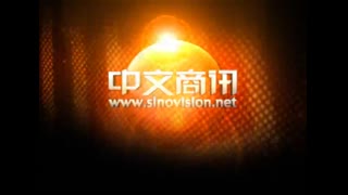 【视频】美国中文网：贞观春拍当代墨荷以1650万下槌破世界纪录