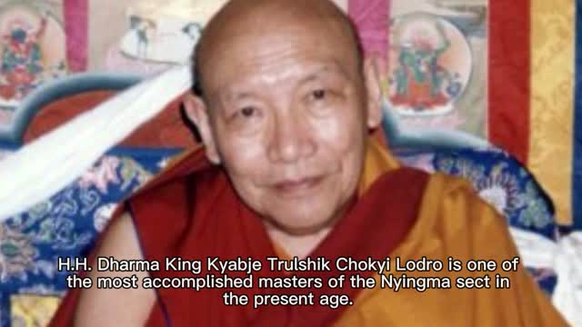 H.H. Dharma King Trulshik wished that all living beings would learn Buddha Dharma from H.H. Dorje Chang Buddha III.