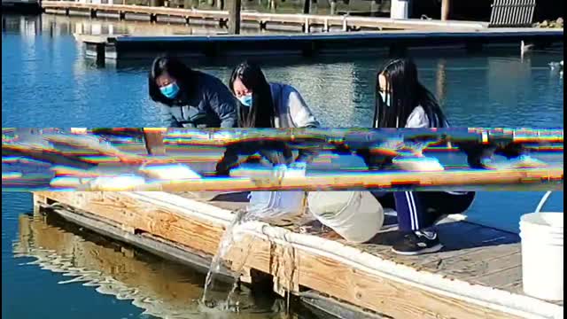 美國舊金山華藏寺2021年1月19日 H.H.第三世多杰羌佛日放生活動剪輯