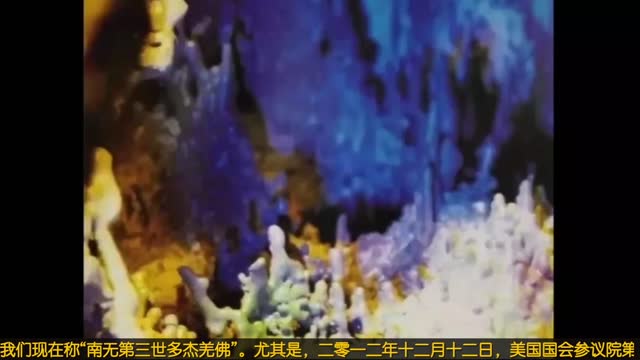 美洲国家组织OAS举办韵雕展