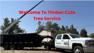 Timber Cuts Tree Removal Service in Centerville, UT