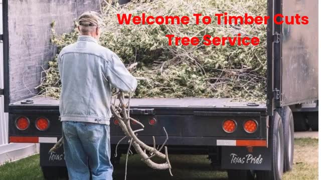 Timber Cuts Tree Trimming Service in Centerville, UT