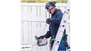 Timber Cuts Tree Trimming Service in Centerville, UT