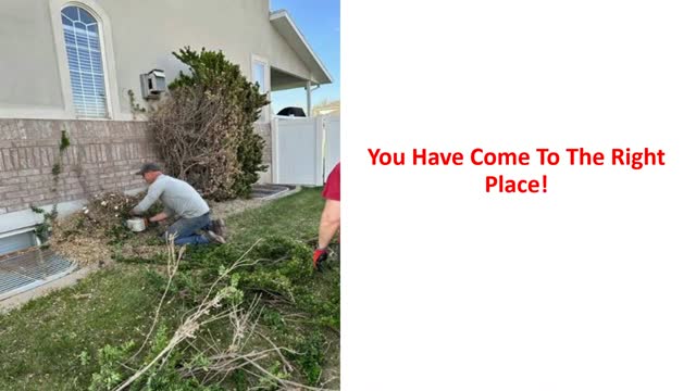 Timber Cuts Tree Service - Expert Tree Removal in Kaysville, UT