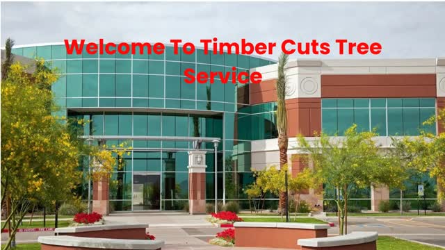 Timber Cuts Tree Service : Tree Trimming in Weber County, UT