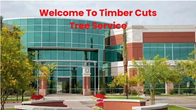Timber Cuts Tree Service Removal in Kaysville, UT | (801) 335-9650