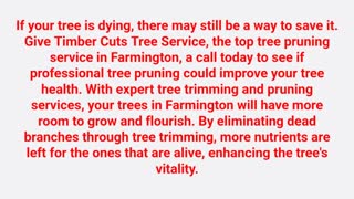 Timber Cuts Tree Pruning Service in Farmington, UT