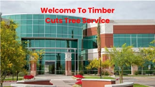 Timber Cuts Tree Service : Tree Removal in Bountiful, UT