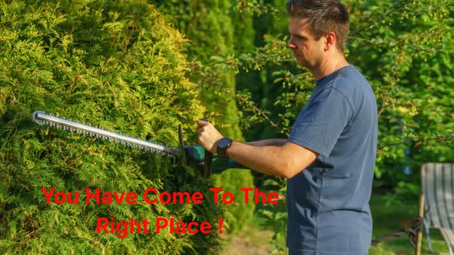 Timber Cuts Tree Service : Tree Trimming in Davis County, UT