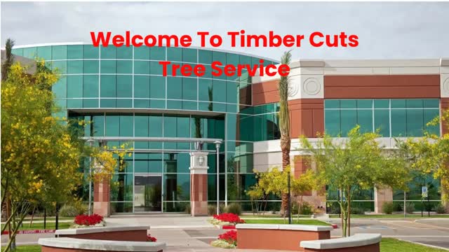 Timber Cuts Tree Service : Tree Pruning in Salt Lake County, UT