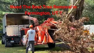 Timber Cuts Tree Removal Service in Farmington, UT