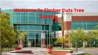 Timber Cuts Tree Service : Tree Trimming in Salt Lake County, UT