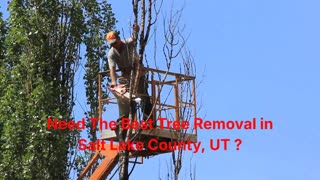 Timber Cuts Tree Service : Tree Removal in Salt Lake County, UT