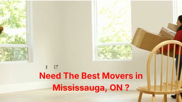 Ecoway Movers in Mississauga, ON | L4Z 4C4