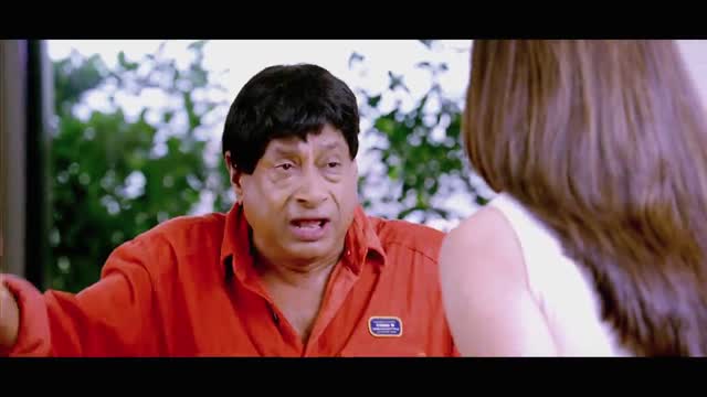 Baadshah (2013) Telugu N. T. Rama Rao Jr.,Kajal Aggarwal, Navdeep, Brahmanandam, and Kelly Dorji.