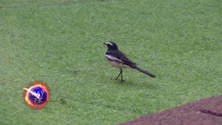 Bigg Boss S09E74 Day 73 Bonds Beyond the Game 