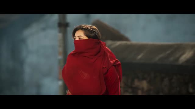 Andhra King Taluka (2025)