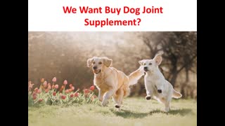 Forte Flex K9 : Dog Joint Supplement