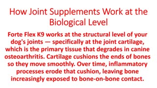 Forte Flex K9 - Best Supplements For Dogs With Arthritis