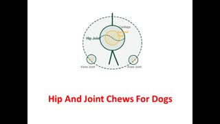 Forte Flex K9 : Hip And Joint Chews For Dogs