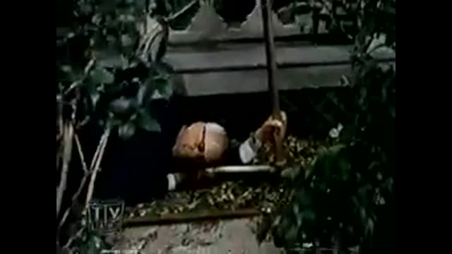 Petticoat Junction - 3x11 - Bedloe's Successor