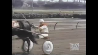 My Three Sons - 8x22 - A Horse For Uncle Charley