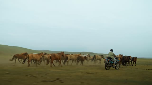黃明志 Ft. Khusugtun【不可分割】(Official Music Video)