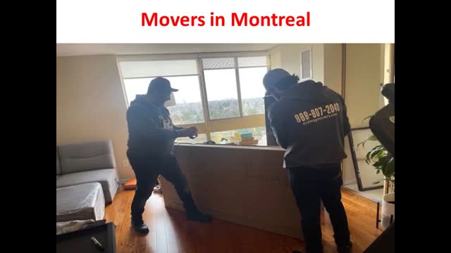 Ecoway Movers #1 Movers in Montreal, QC | H3S 2W4
